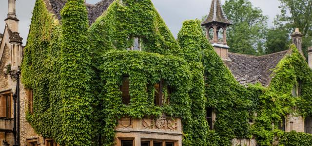 ivy covered English building